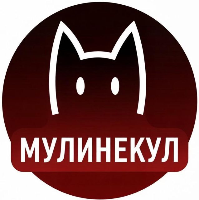Портрет мастера МУЛИНЕКУЛ